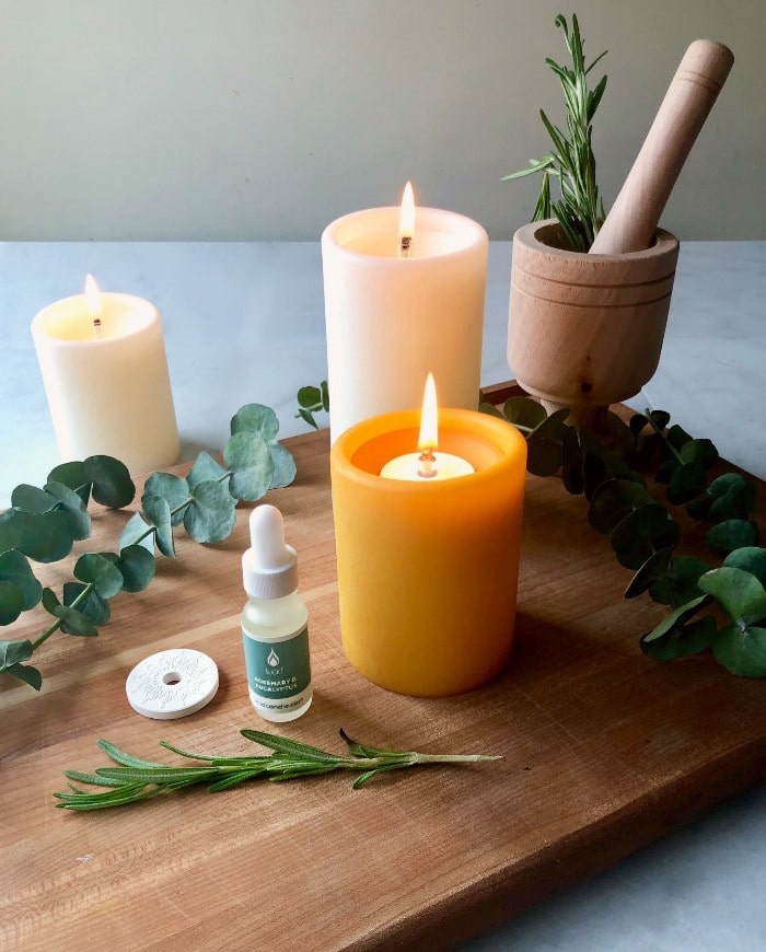 NEW Lucid Liquid outlet Candle Bundle